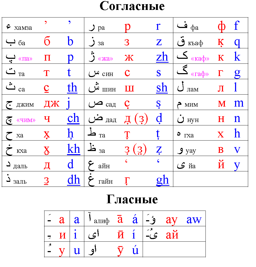 ������� �������������� ������������-�����������